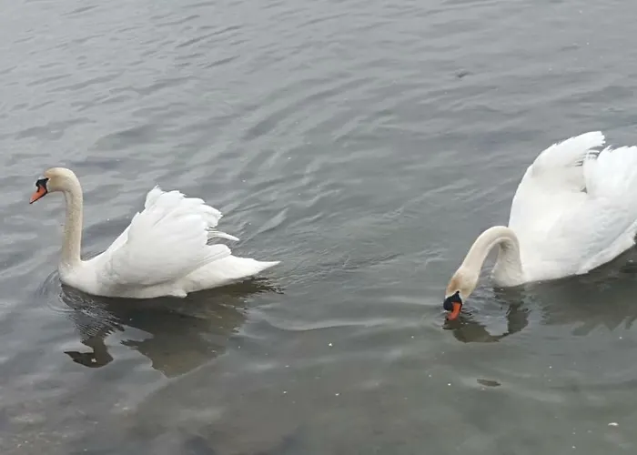 דירה Casa Contadina *