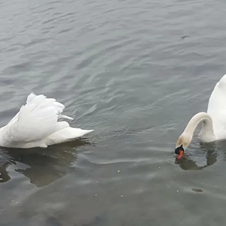 Appartement Casa Contadina *